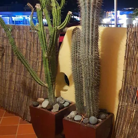 Casa Roja Tenerife Playa Paraiso Piscina Terraza Costa Adeje (Tenerife)